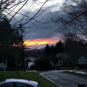 Meet your Posher, Austynn